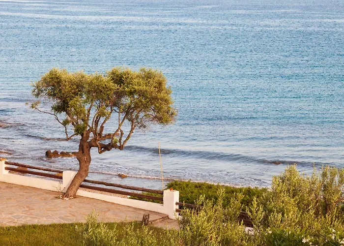 Apartamento F & B Summer Collection - Kassandra -