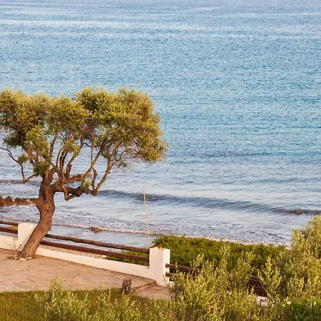 Apartamento F & B Summer Collection - Kassandra -