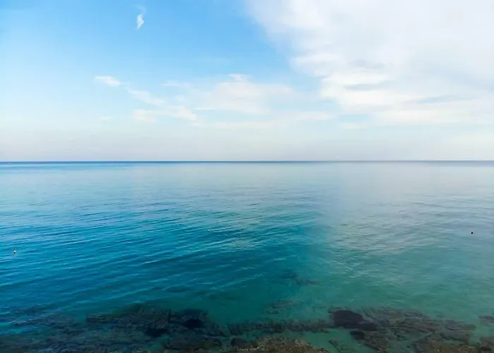 F & B Summer Collection - Kassandra - Daire *