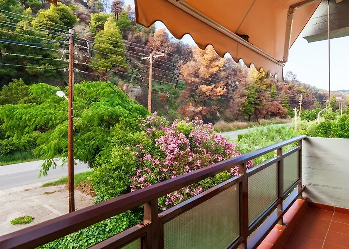 Daire F & B Summer Collection - Kassandra - Mola Kalyva