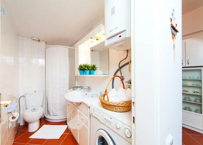 Daire F & B Summer Collection - Kassandra - Mola Kalyva